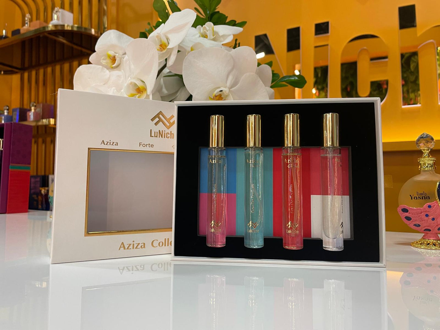 Aziza Collection Discovery Kit