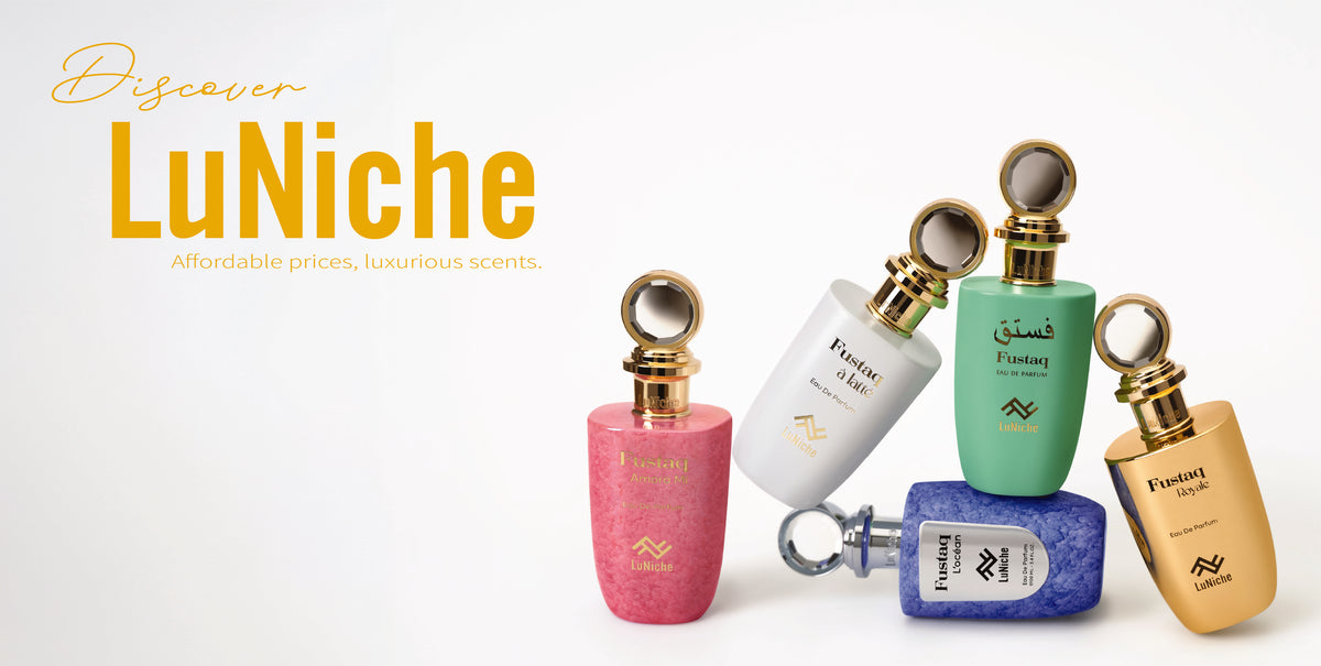 Discover Luniche website banner